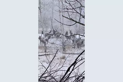 10401 Windy Ridge Rd, Aguilar, CO 81020 - Photo 29