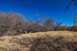 233 Catlin Ave, Canon City, CO 81212 - Photo 33