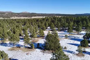 22000 Spirit Mountain Dr, Aguilar, CO 81020 - Photo 47