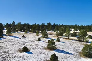 22000 Spirit Mountain Dr, Aguilar, CO 81020 - Photo 53