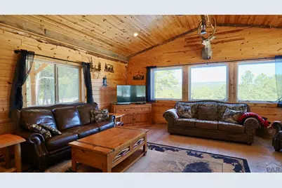 22000 Spirit Mountain Dr, Aguilar, CO 81020 - Photo 5