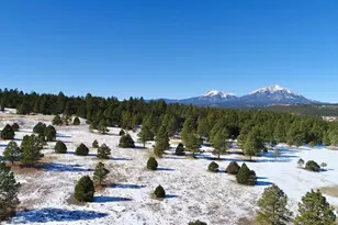 22000 Spirit Mountain Dr, Aguilar, CO 81020 - Photo 55