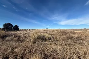 1009 S Glenbrook Dr, Pueblo West, CO 81007 - Photo 1