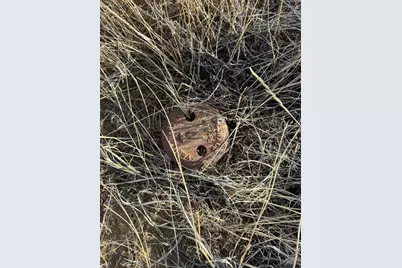 L23-26 B1 Black Diamond Dr, Walsenburg, CO 81089 - Photo 13