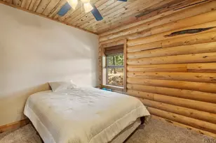 111 Blue Spruce Dr, Divide, CO 80814 - Photo 29