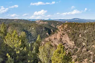 111 Blue Spruce Dr, Divide, CO 80814 - Photo 37