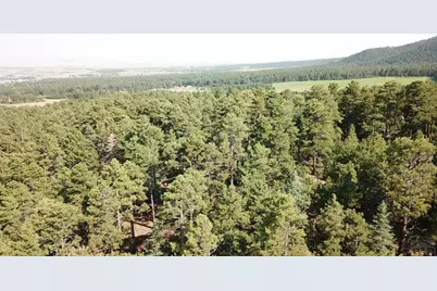 8335 Zorn Rd, Rye, CO 81069 - Photo 43