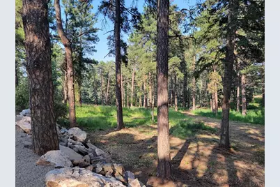 8335 Zorn Rd, Rye, CO 81069 - Photo 35