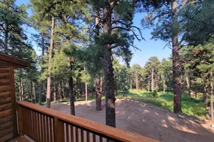 8335 Zorn Rd, Rye, CO 81069 - Photo 7