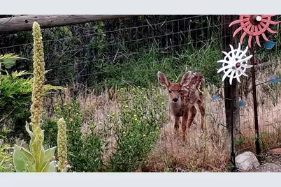 5910 Olympus Lane, Colorado City, CO 81019 - Photo 35