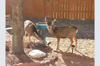 5910 Olympus Lane, Colorado City, CO 81019 - Photo 39