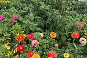 403 E 7th St, Trinidad, CO 81082 - Photo 41