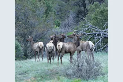 33822 Fisher Peak Pkwy, Trinidad, CO 81082 - Photo 31