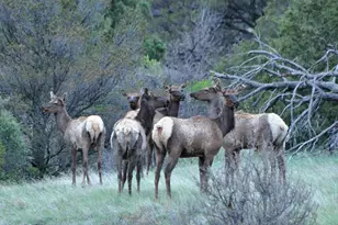 33822 Fisher Peak Pkwy, Trinidad, CO 81082 - Photo 31