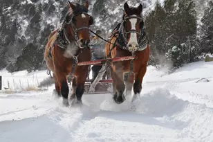 33822 Fisher Peak Pkwy, Trinidad, CO 81082 - Photo 29