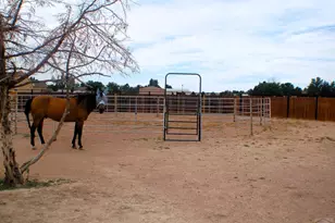 973 W McCulloch Blvd N, Pueblo West, CO 81007 - Photo 35