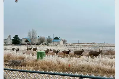 366 E Countryside Dr, Pueblo West, CO 81007 - Photo 41