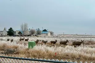 366 E Countryside Dr, Pueblo West, CO 81007 - Photo 41