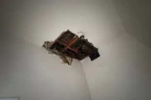 1426 E Routt Ave, Pueblo, CO 81004 - Photo 17