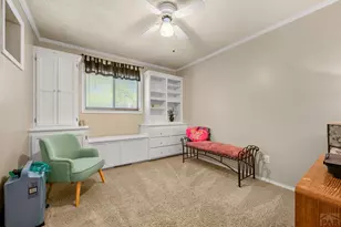 8 Cornflower Ct, Pueblo, CO 81001 - Photo 17