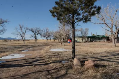 3538 County Rd 110, Rye, CO 81069 - Photo 1