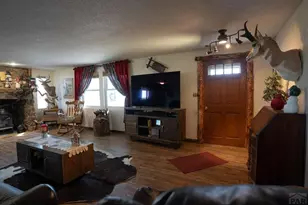 3538 Co Rd 110, Rye, CO 81069 - Photo 5
