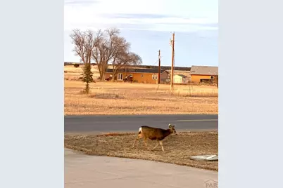 4746 Cuerno Verde Blvd, Colorado City, CO 81019 - Photo 49