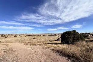 712 S Carrizo Springs Ave, Pueblo West, CO 81007 - Photo 43