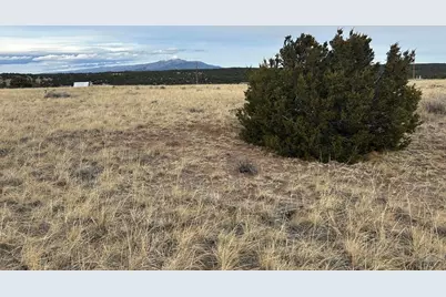 Lot 78 Navajo Ranch Resort, Walsenburg, CO 81089 - Photo 9