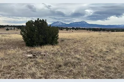 Lot 78 Navajo Ranch Resort, Walsenburg, CO 81089 - Photo 5