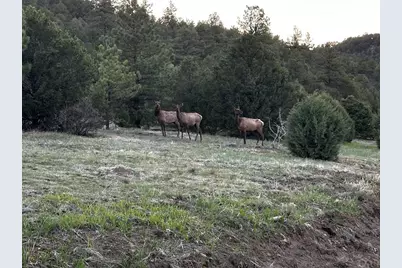 33280 Turkey Creek Ln, Trinidad, CO 81082 - Photo 47