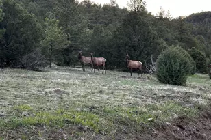 33280 Turkey Creek Ln, Trinidad, CO 81082 - Photo 47