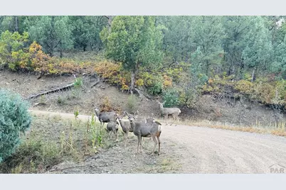 33280 Turkey Creek Ln, Trinidad, CO 81082 - Photo 61