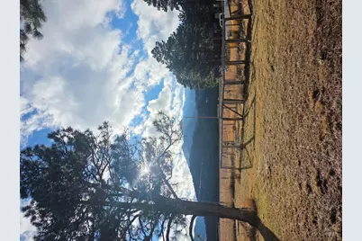 8152 Pine Dr, Rye, CO 81069 - Photo 3