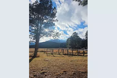 8152 Pine Dr, Rye, CO 81069 - Photo 3