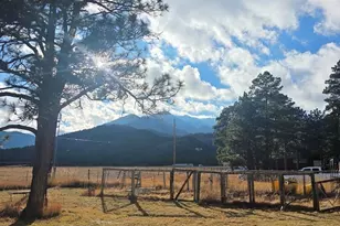 8152 Pine Dr, Rye, CO 81069 - Photo 3