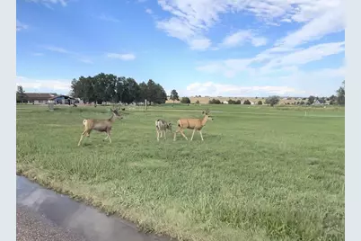 Lot 20 North Parkway, Colorado City, CO 81019 - Photo 19