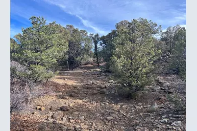 Lot 142A Silver Spurs Ranch, Walsenburg, CO 81089 - Photo 11