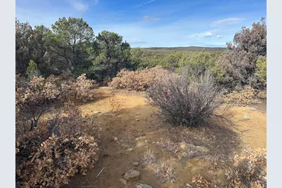 Lot 142A Silver Spurs Ranch, Walsenburg, CO 81089 - Photo 19
