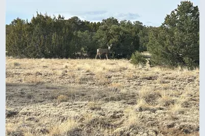 Lot 142A Silver Spurs Ranch, Walsenburg, CO 81089 - Photo 3