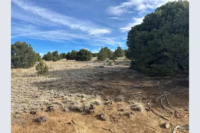 Lot 142A Silver Spurs Ranch, Walsenburg, CO 81089 - Photo 23