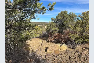 Lot 142A Silver Spurs Ranch, Walsenburg, CO 81089 - Photo 13