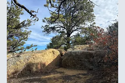 Lot 142A Silver Spurs Ranch, Walsenburg, CO 81089 - Photo 9