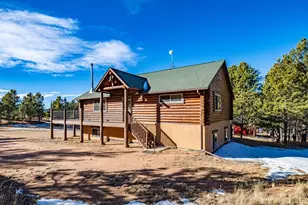 73 Bighorn Ln, Florissant, CO 80816 - Photo 75