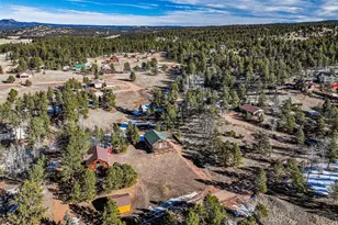 73 Bighorn Ln, Florissant, CO 80816 - Photo 79