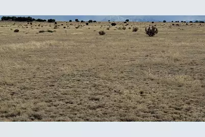 157&amp;191 Turkey Ridge Ranch, Walsenburg, CO 81089 - Photo 9