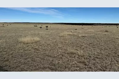157&amp;191 Turkey Ridge Ranch, Walsenburg, CO 81089 - Photo 13