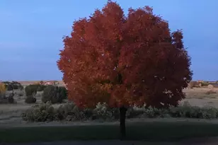 5749 St Charles River Dr, Pueblo, CO 81004 - Photo 75