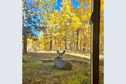 162 Ridge Top Dr, Divide, CO 80814 - Photo 39