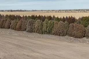 33521 Co Rd 16, Las Animas, CO 81054 - Photo 41